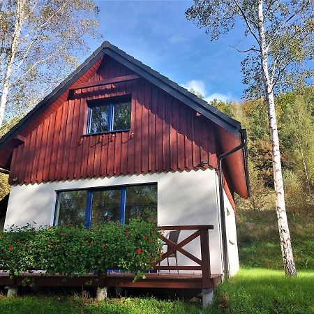 Winny Domek W Radochowie Lądek-Zdrój Exterior foto