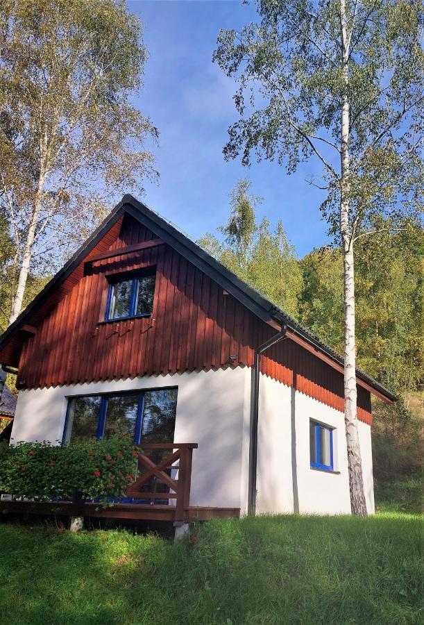 Winny Domek W Radochowie Lądek-Zdrój Exterior foto
